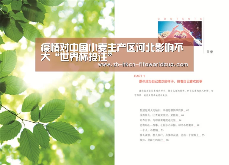 疫情对中国小麦主产区河北影响不大“世界杯投注”(图3) 世界杯投注