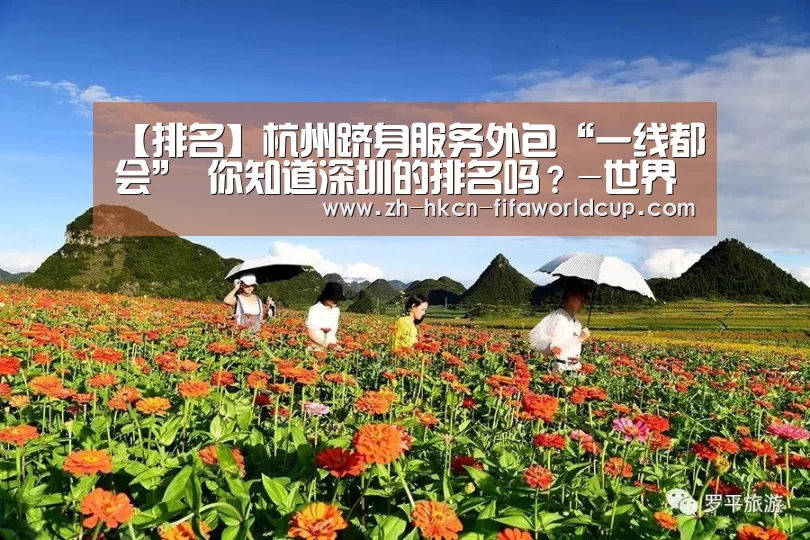 【排名】杭州跻身服务外包“一线都会” 你知道深圳的排名吗?-世界杯投注(图2) 世界杯投注