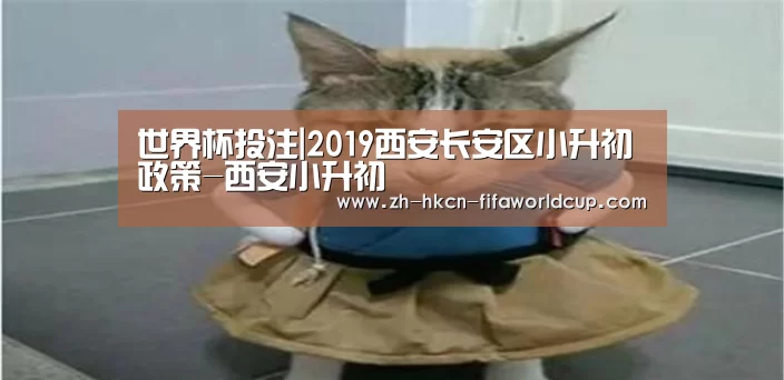 世界杯投注|2019西安长安区小升初政策-西安小升初(图1) 世界杯投注