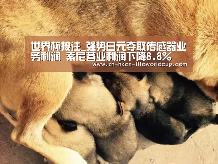 世界杯投注_强势日元夺取传感器业务利润 索尼营业利润下降8.8%(图1) 世界杯投注