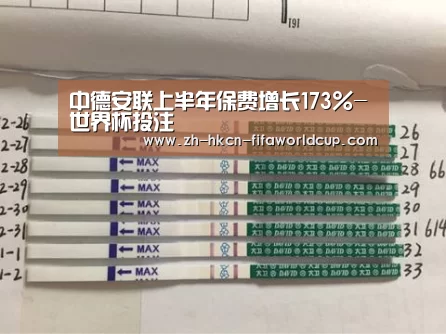 中德安联上半年保费增长173%-世界杯投注(图3) 世界杯投注