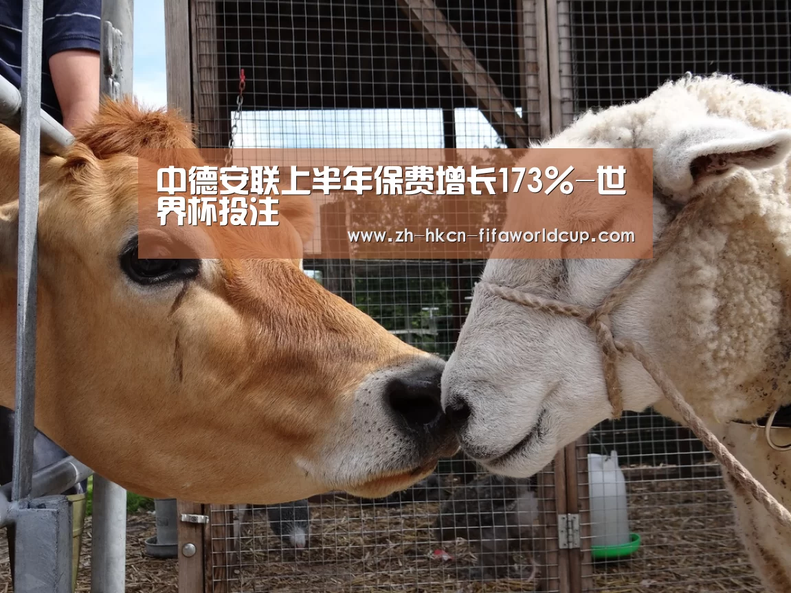 中德安联上半年保费增长173%-世界杯投注(图2) 世界杯投注