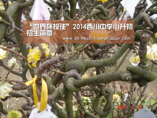 “世界杯投注”2014西川中学小升初招生简章(图3) 世界杯投注