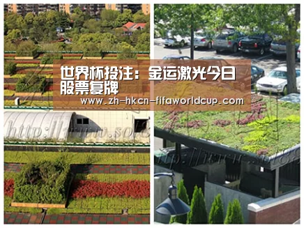 世界杯投注:金运激光今日股票复牌(图1) 世界杯投注